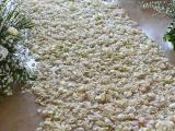 flower petals aisle 